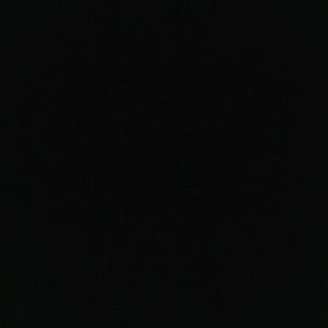 Meet your Posher, Tanner